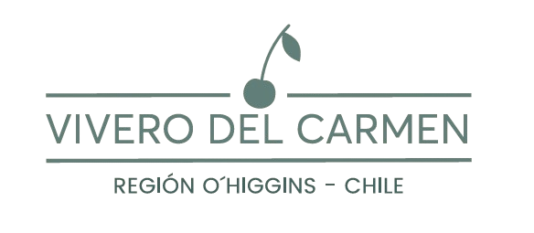 Vivero del Carmen — Región O'Higgins, Chile