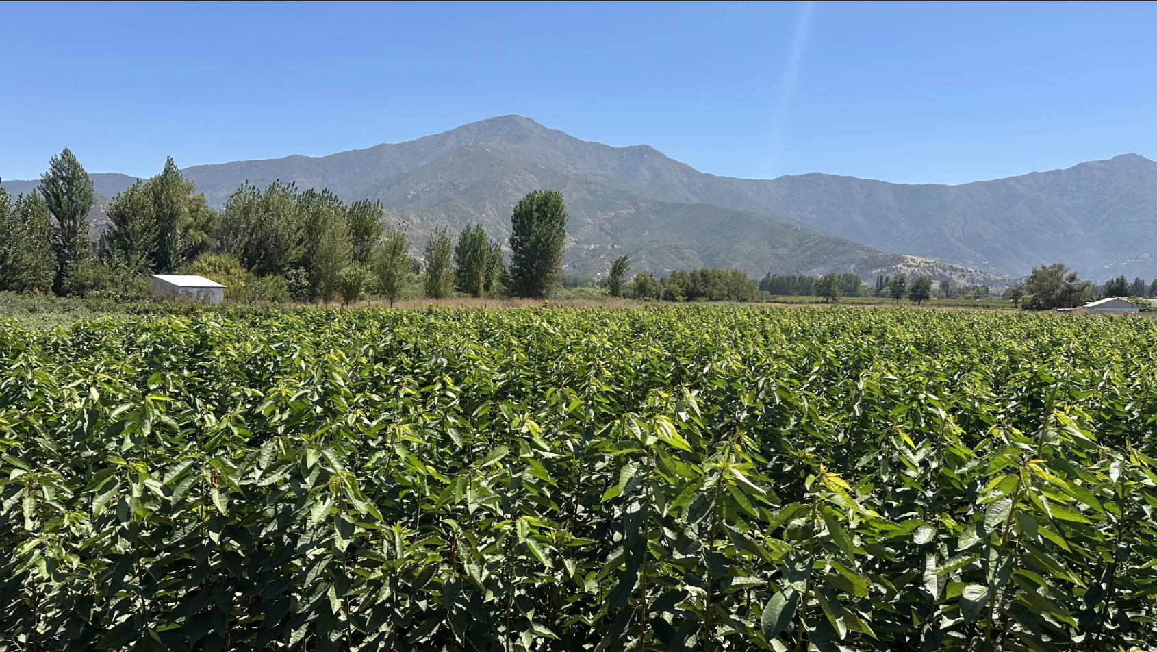 captura de pantalla 2026 03 04 a la(s) 4.53.44 p. m.