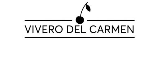 Vivero del Carmen